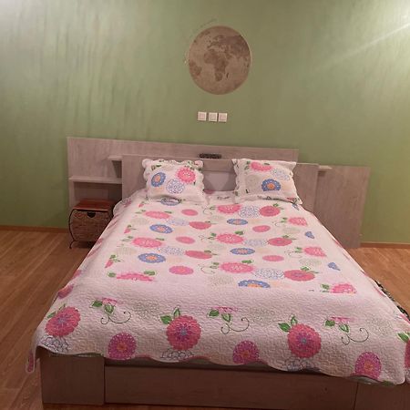 Chambre Verte Spacieuse Cote Aeroport Pusignan Zewnętrze zdjęcie